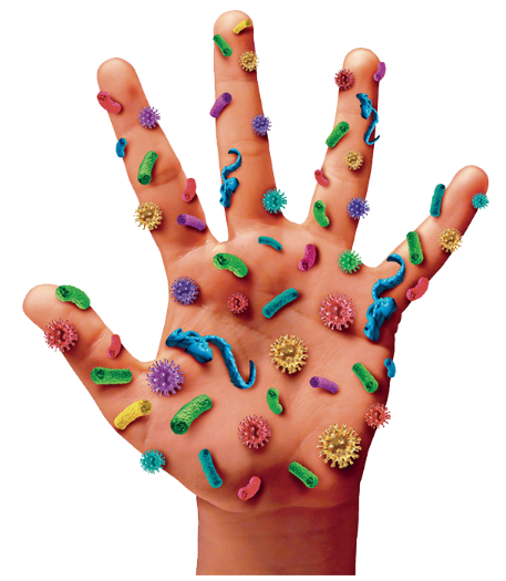 Czy dezynfekcja rąk jest skuteczna bez ich mycia?